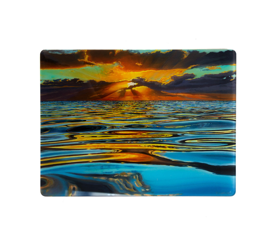 Glass Worktop Saver
