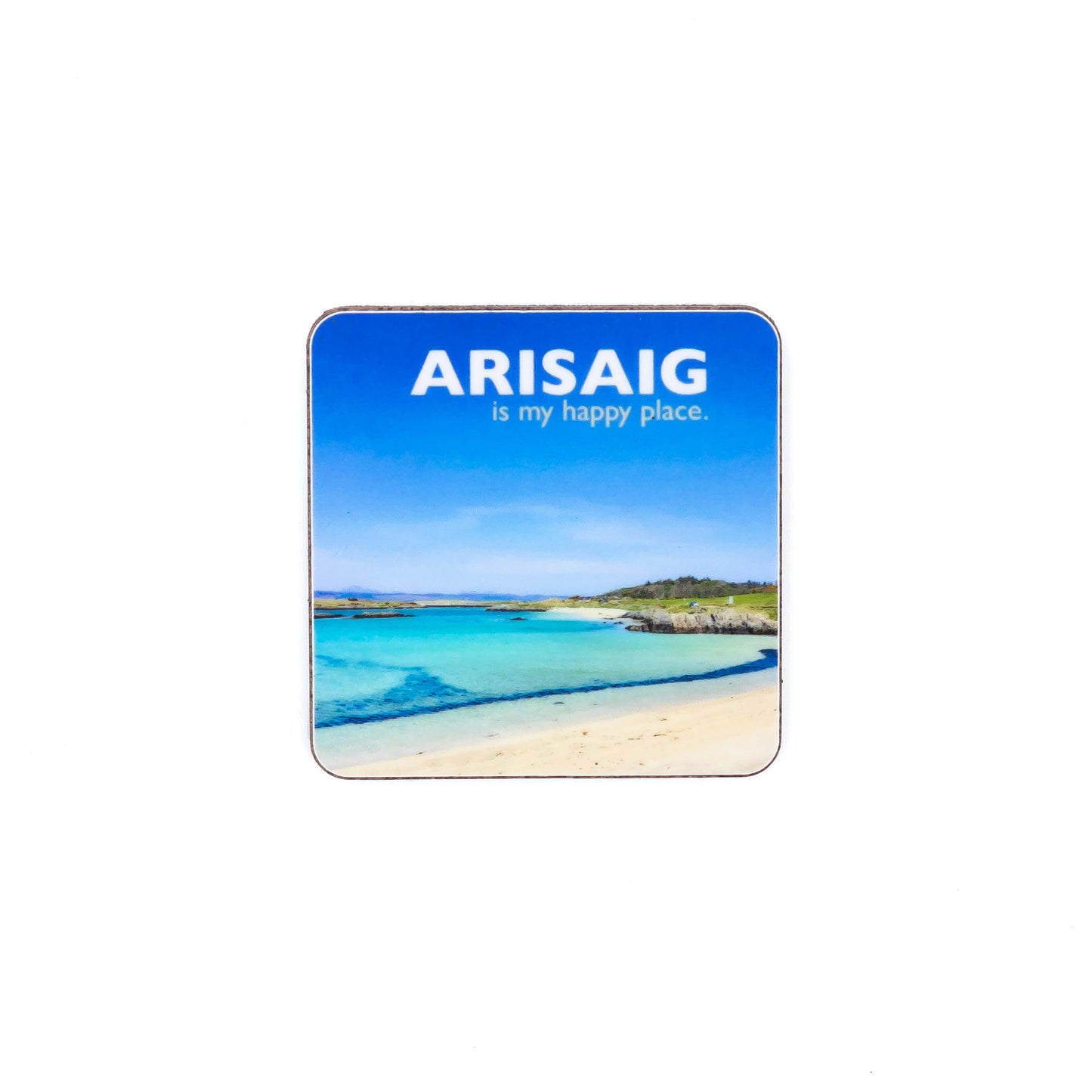 Assorted Fridge Magnets