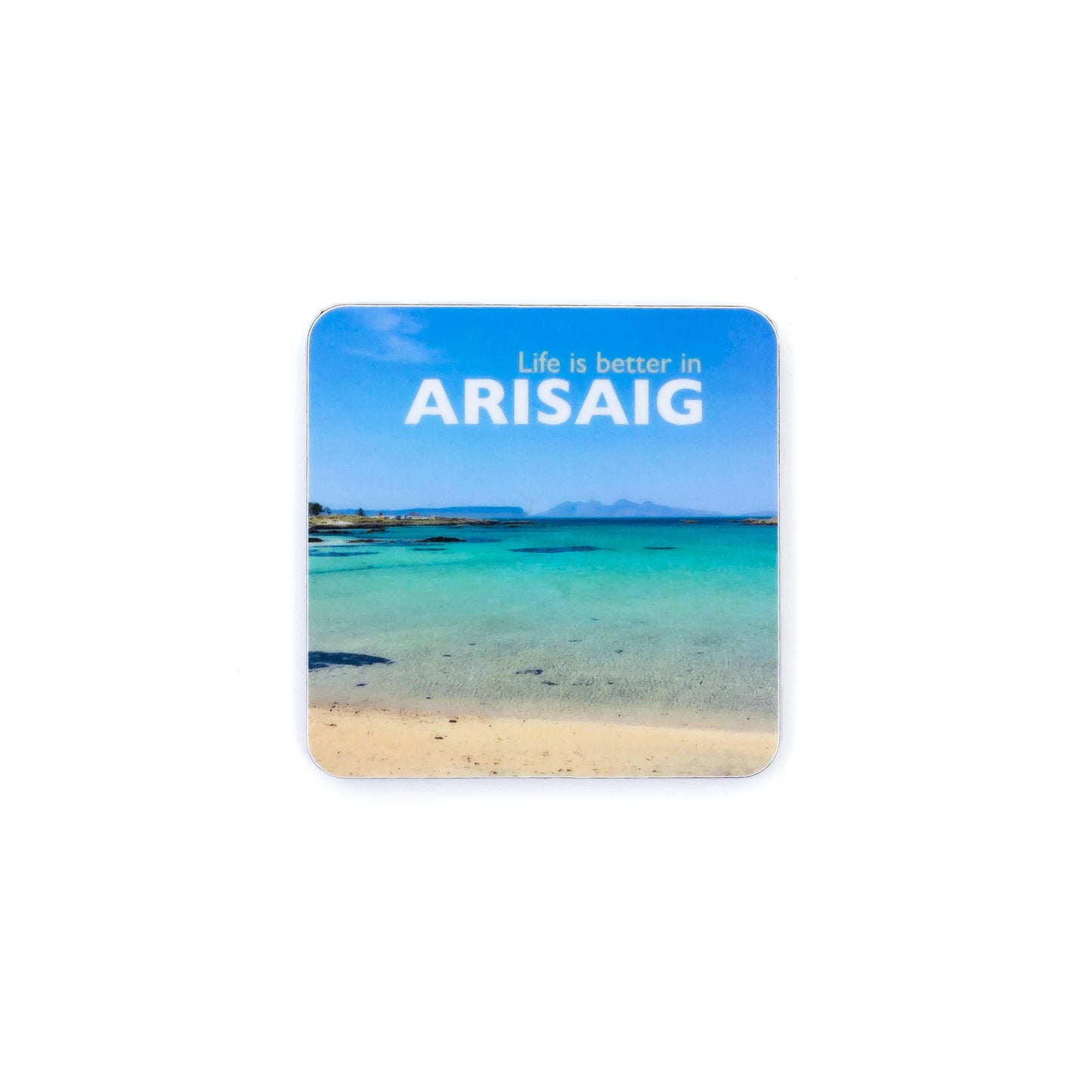 Assorted Fridge Magnets