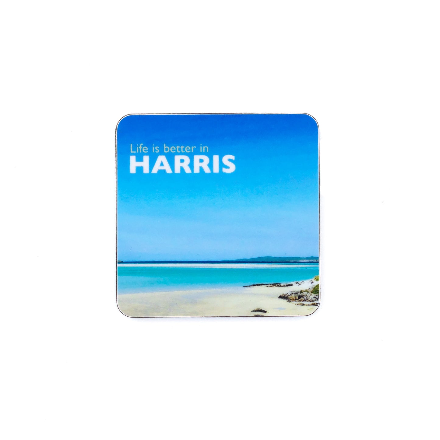 Assorted Fridge Magnets