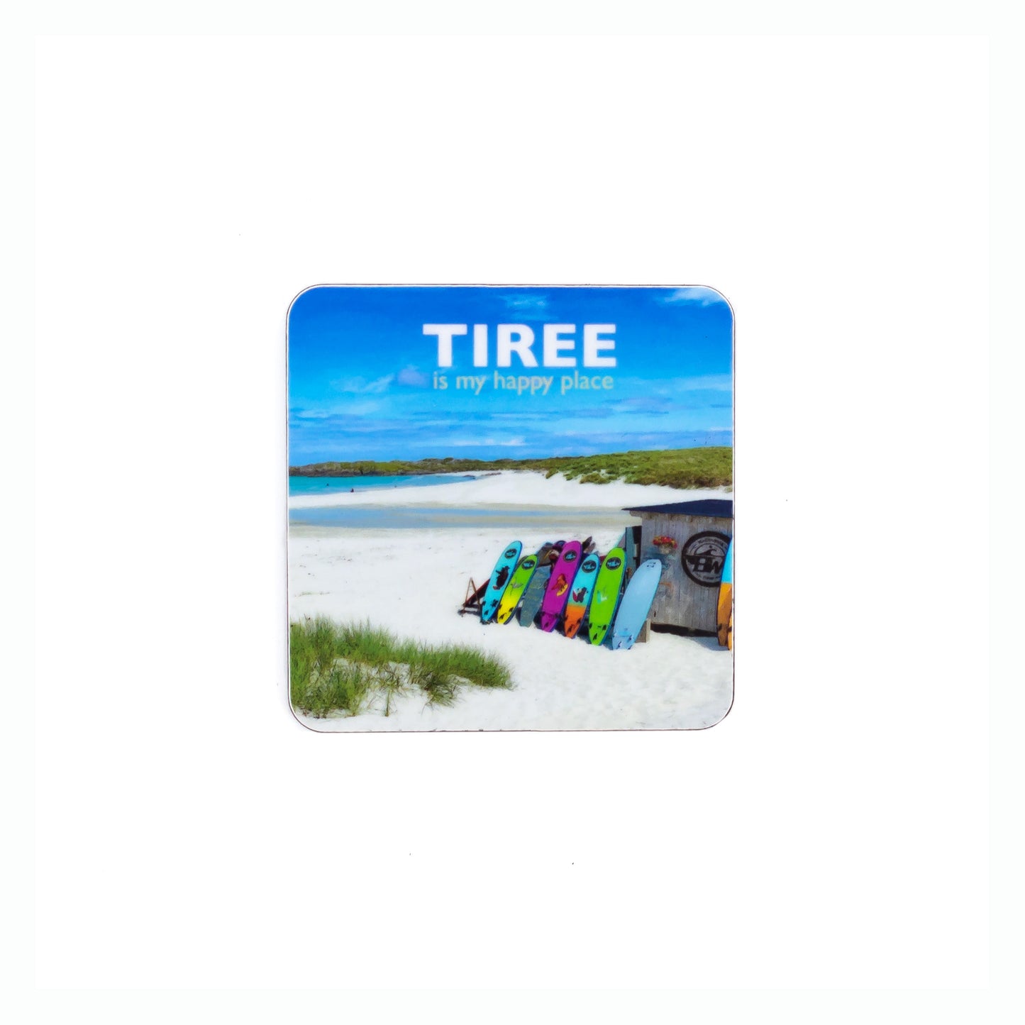 Assorted Fridge Magnets