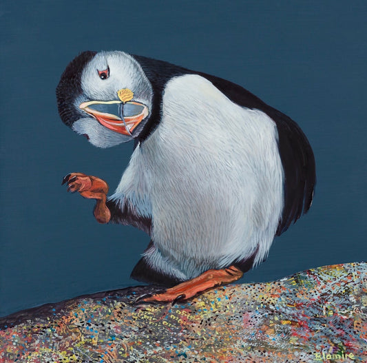 Jock Mackay Puffin Print