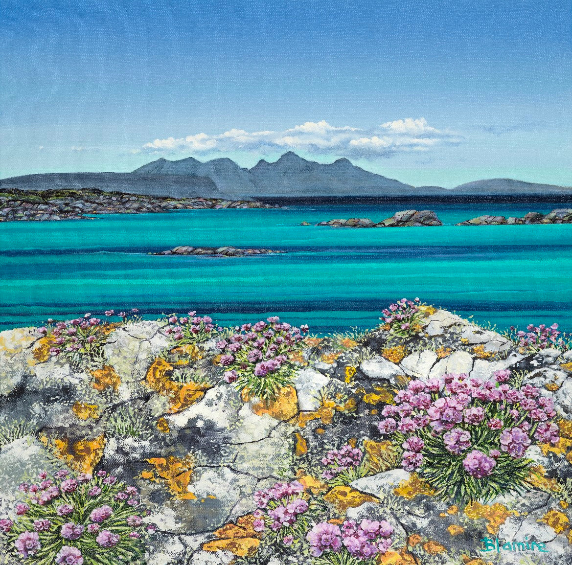 Arisaig Sea Pinks Print