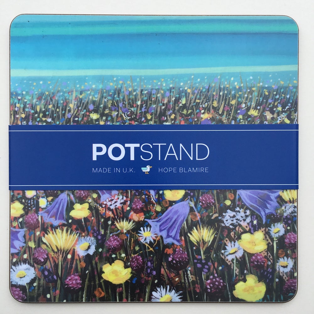 Hebridean Machair Potstand