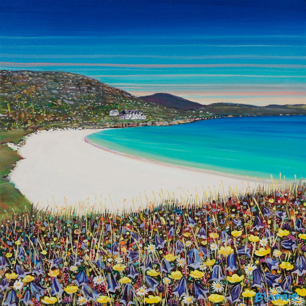 Vatersay Machair Small Print