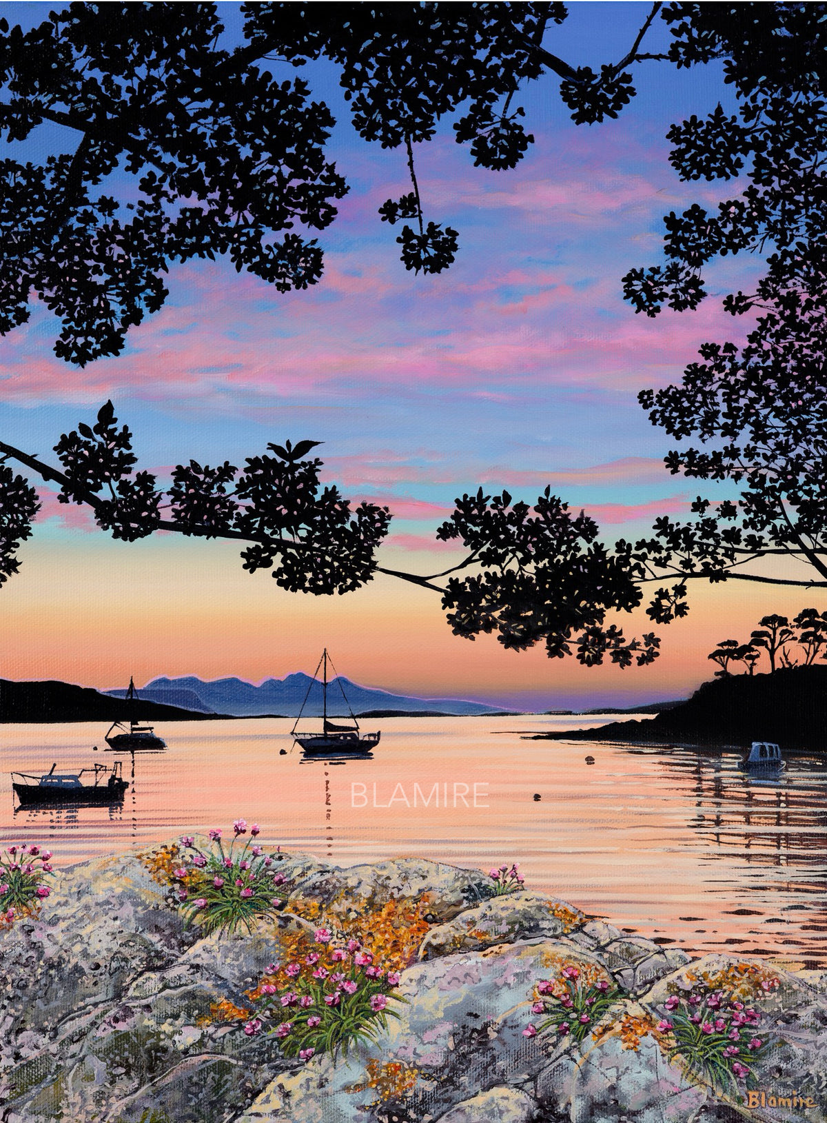 Cherry blossom sunset Arisaig giclee print