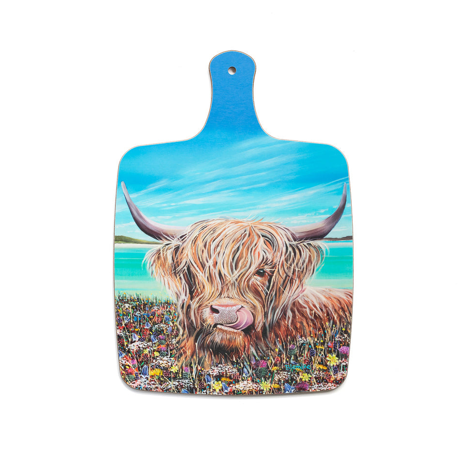 Assorted Large Chopping Boards