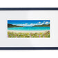 Calgary bay Mull panorama print