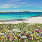 Bosta Machair giclee print 