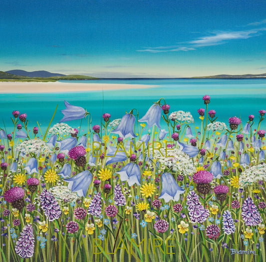 Luskentyre wildflowers giclee print
