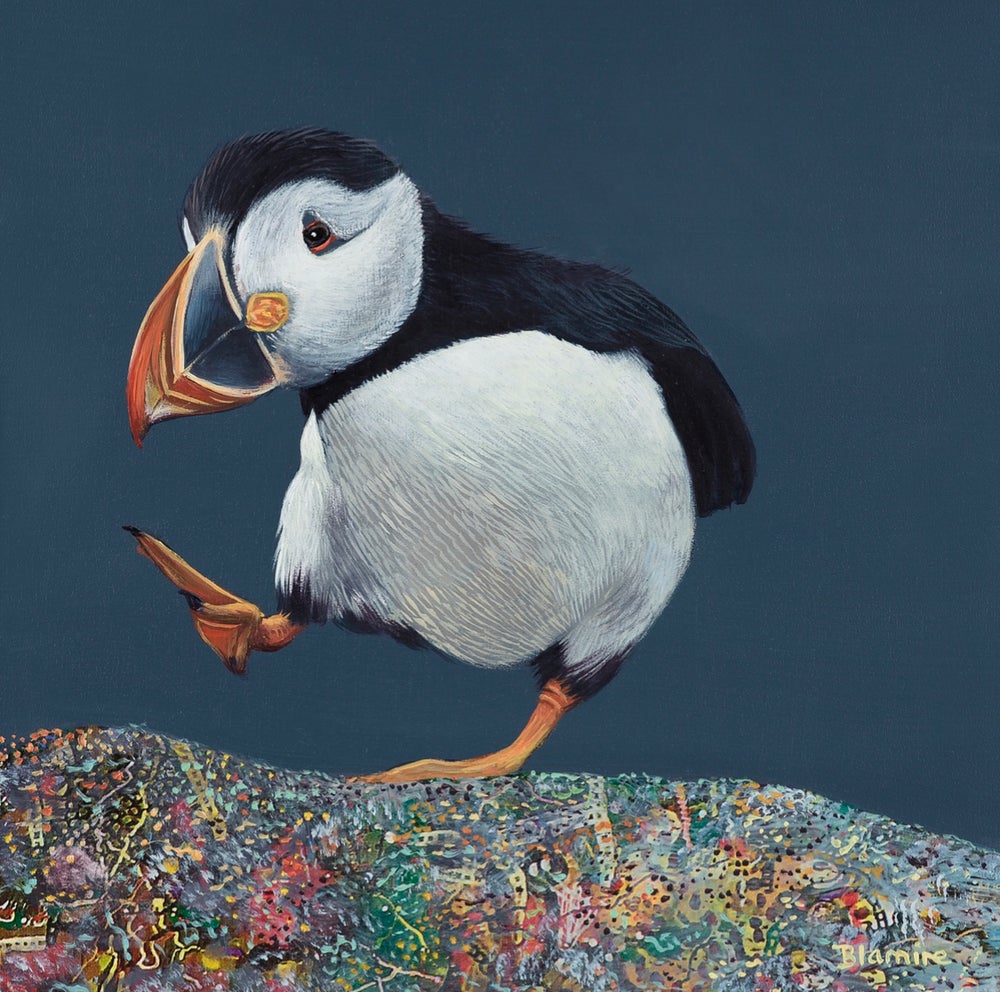 Ceit Mackay Puffin Print