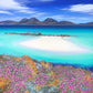 Colonsay Sea Pinks Print