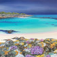 Peaceful Thoughts, Iona Print