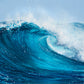 Barra Breaker Print