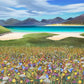 Harris Flowers Print