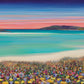 Luskentyre Machair Panorama Print