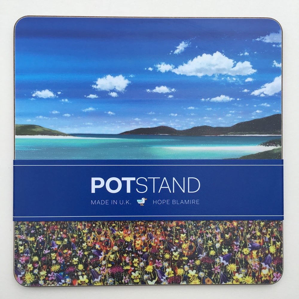 Luskentyre Wildflowers Potstand