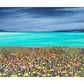 Luskentyre Greys Print