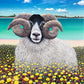 Ramsay McGordon Tiree Print