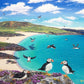 Mingulay Puffins Print